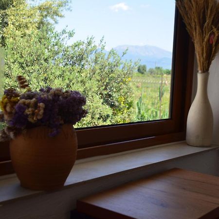 Rustic Tale Guesthouse Экстерьер фото