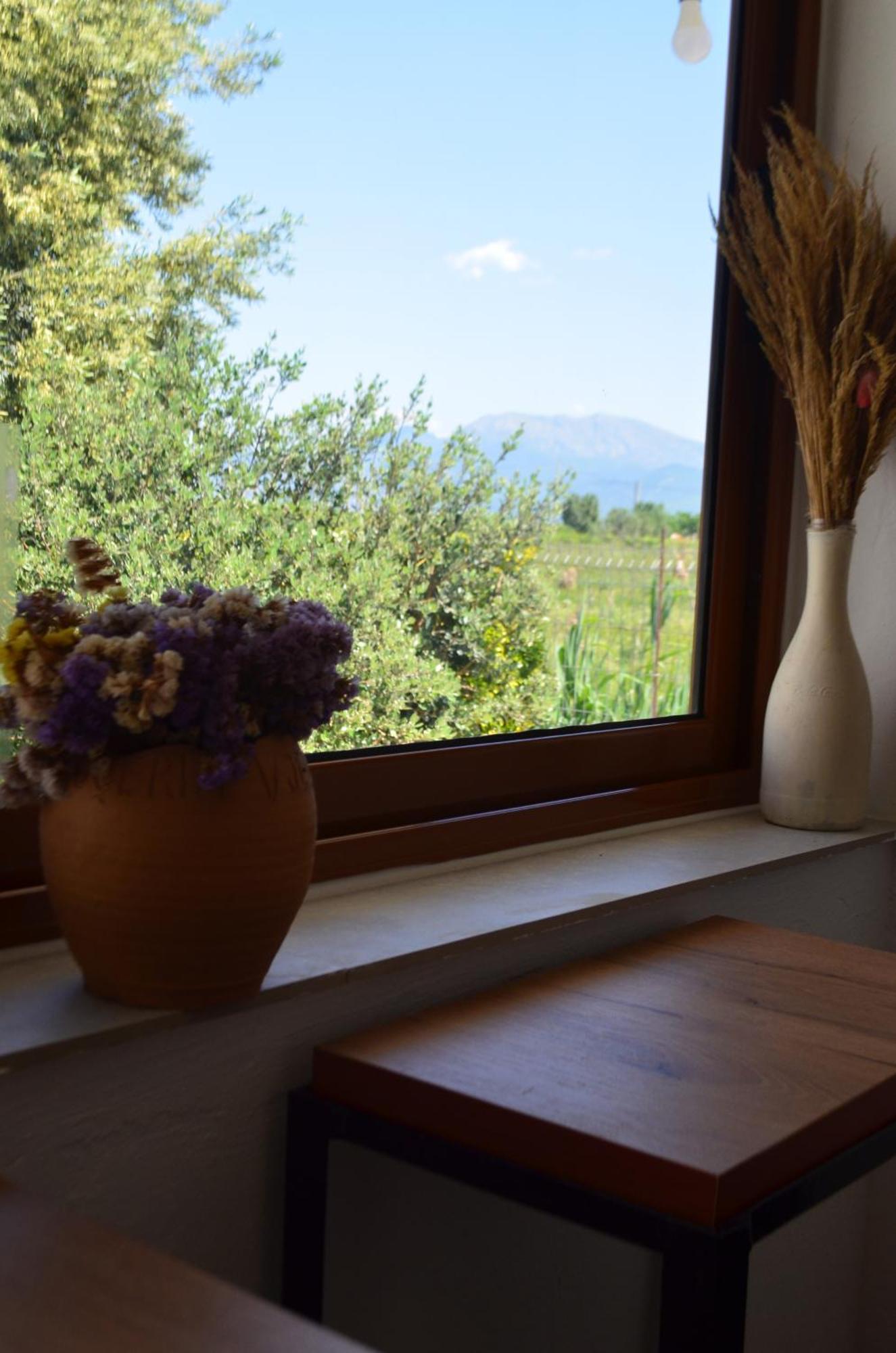 Rustic Tale Guesthouse Экстерьер фото